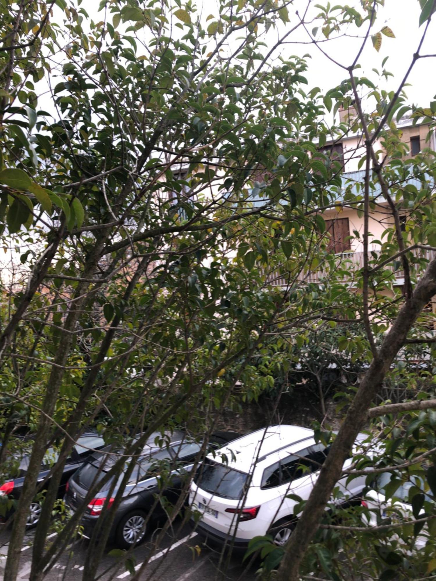 Logement Promenade De La Torse A Aix-En-Provence Exterior foto